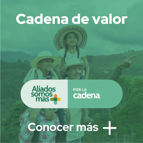 Cadena de Valor