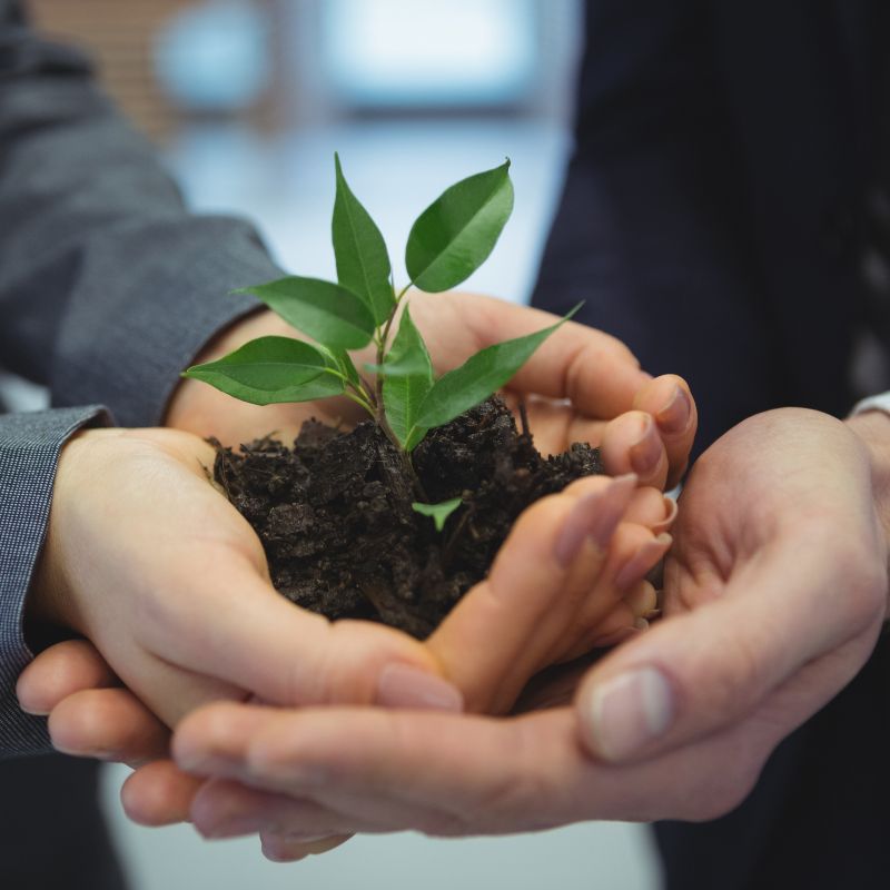 Claves de crecimiento sostenible en la industria alimentaria