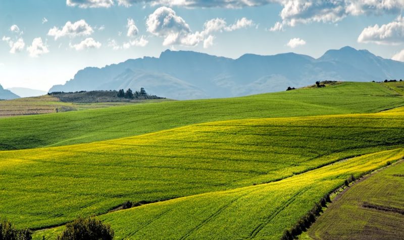 Producción sostenible en la industria alimentaria