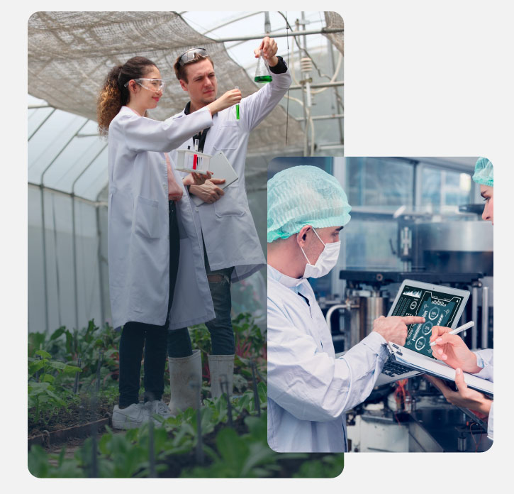 Expertos en cultivos vegetales extrayendo muestras para ser analizadas en el laboratorio Ingenieros expertos en laboratorio analizando resultados de muestras
