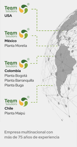 Ubicación geográfica de las plantas de producción de Alianza Team